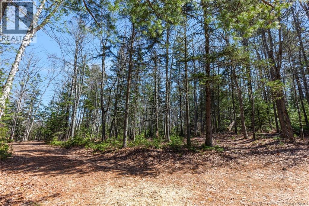 45 Gesner Lane, Mckees Mills, New Brunswick  E4V 0A1 - Photo 37 - NB137777