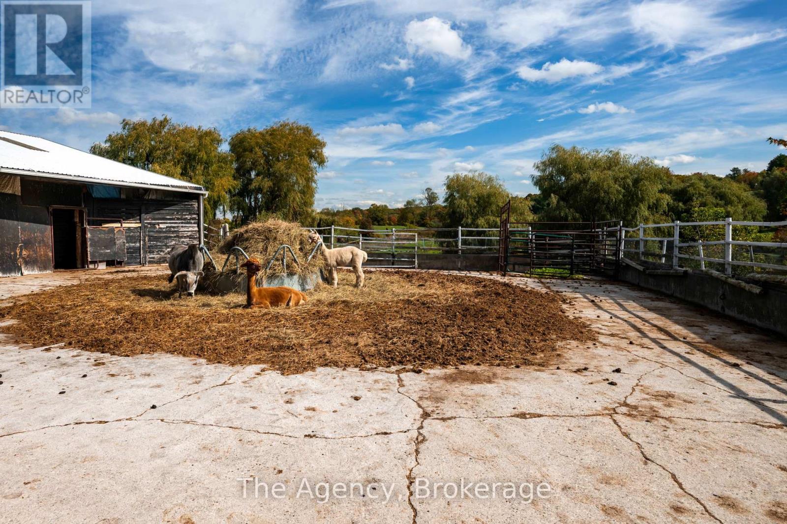5150 17 Side Road, King, Ontario  L0G 1T0 - Photo 35 - N13042786