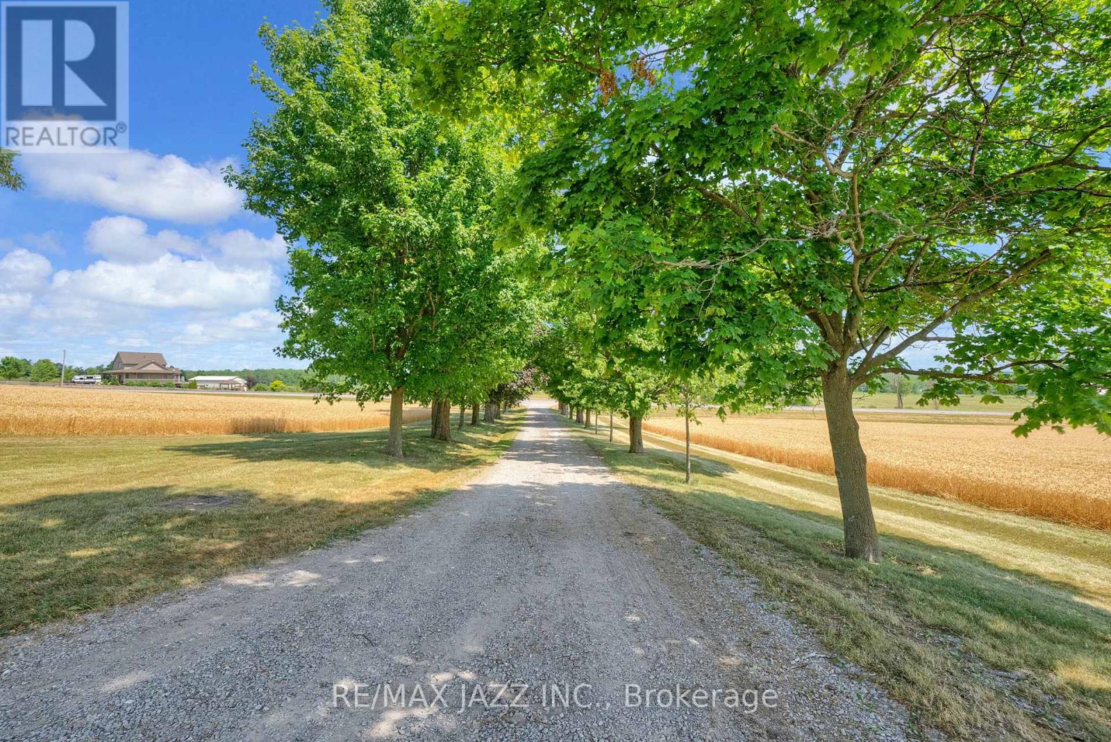 638 County 28 Road, Cavan Monaghan, Ontario  L0A 1G0 - Photo 11 - X12341880