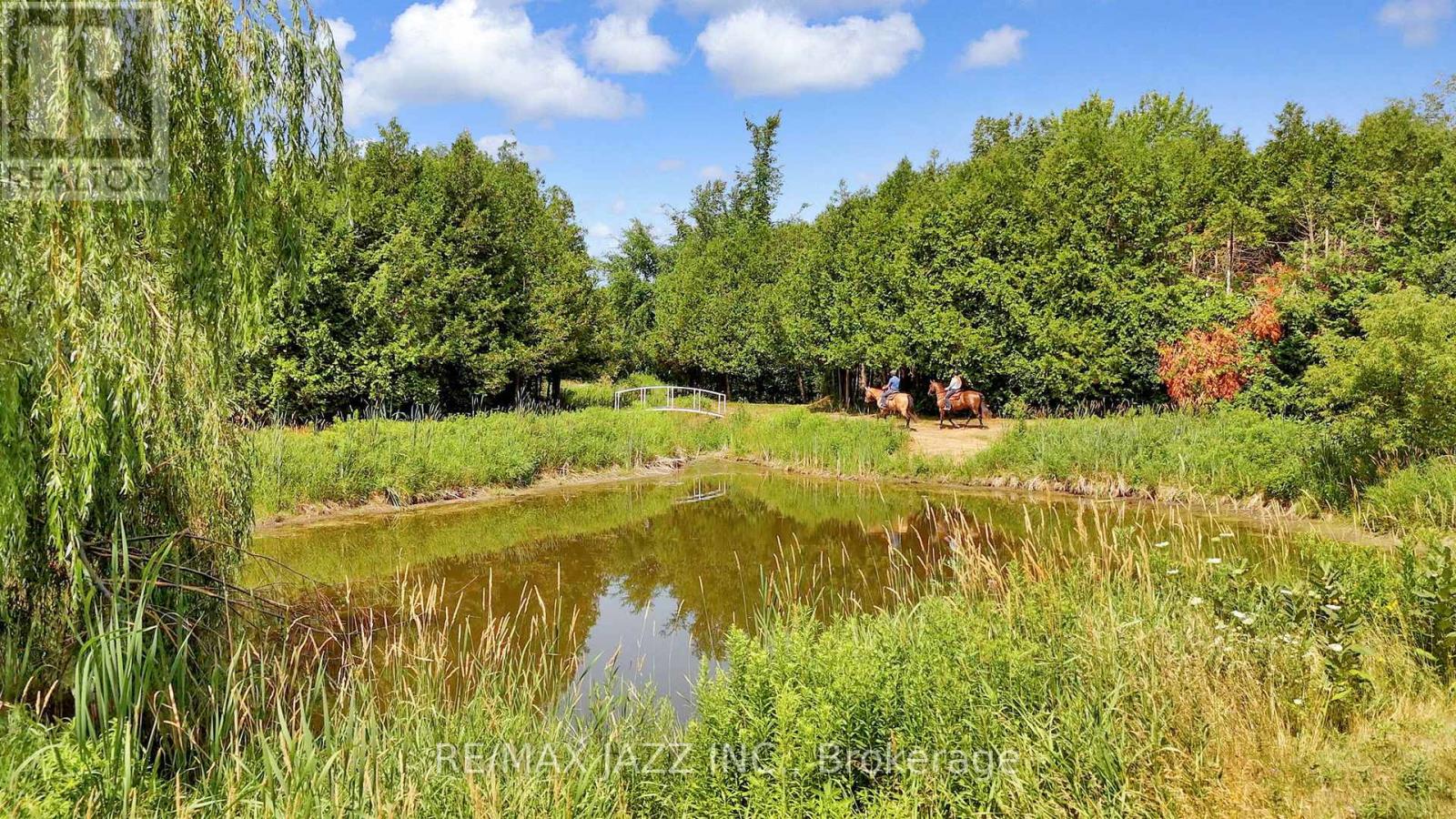 638 County 28 Road, Cavan Monaghan, Ontario  L0A 1G0 - Photo 26 - X12341880