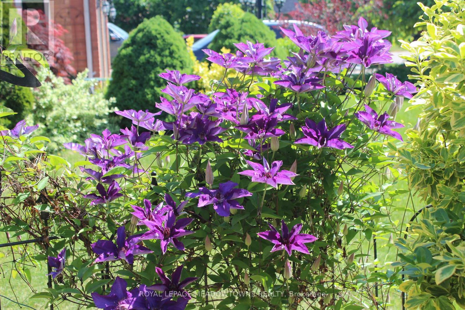 29 Hamilton Crescent, Halton Hills, Ontario  L7G 5K9 - Photo 44 - W13042904