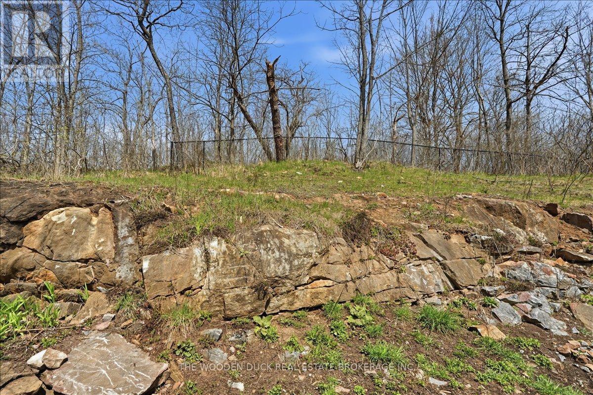 96 Livingstone Avenue W, Centre Hastings, Ontario  K0K 2K0 - Photo 26 - X13043128