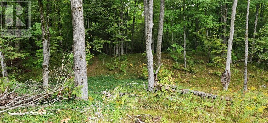 169 Northern Avenue, Trent Lakes, Ontario  K0M 1A0 - Photo 10 - X13043166