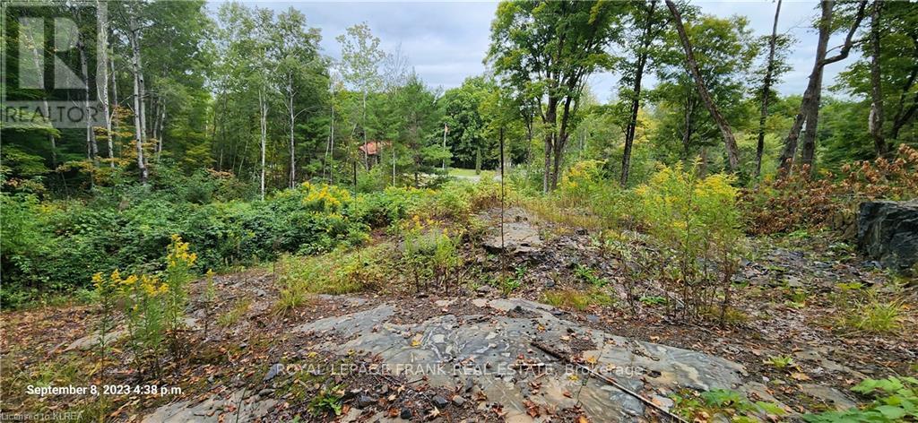 169 Northern Avenue, Trent Lakes, Ontario  K0M 1A0 - Photo 2 - X13043166