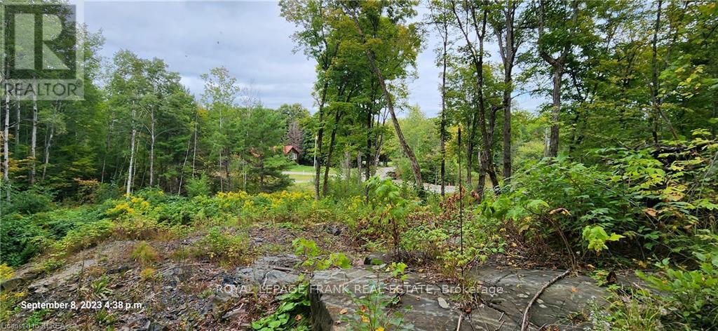 169 Northern Avenue, Trent Lakes, Ontario  K0M 1A0 - Photo 3 - X13043166