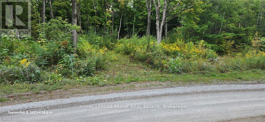 169 Northern Avenue, Trent Lakes, Ontario  K0M 1A0 - Photo 5 - X13043166