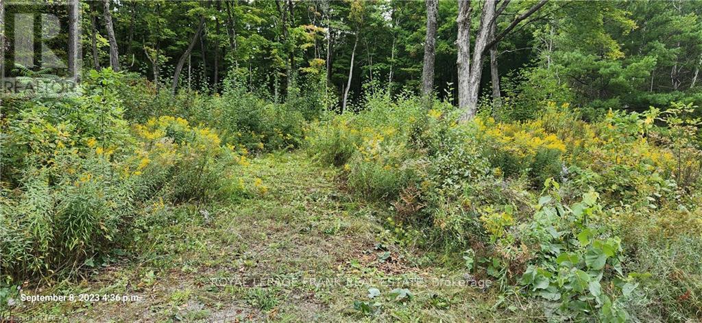 169 Northern Avenue, Trent Lakes, Ontario  K0M 1A0 - Photo 6 - X13043166