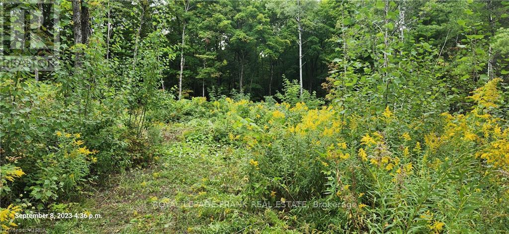 169 Northern Avenue, Trent Lakes, Ontario  K0M 1A0 - Photo 8 - X13043166