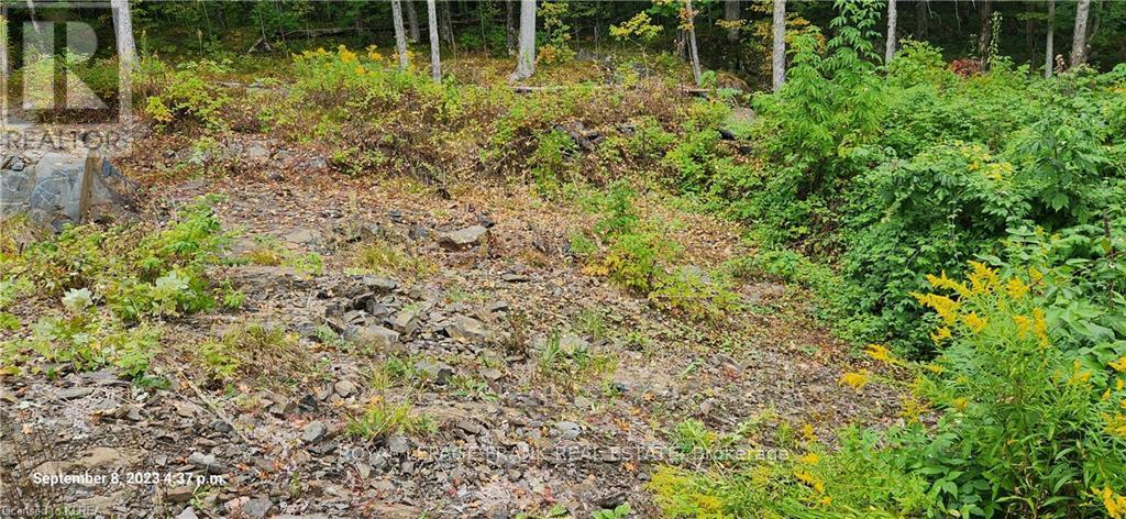 169 Northern Avenue, Trent Lakes, Ontario  K0M 1A0 - Photo 9 - X13043166