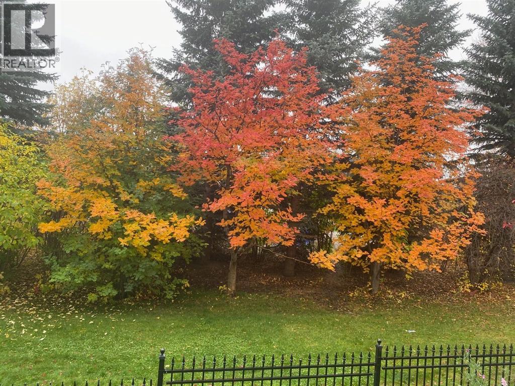 261, 3000 Marda Link Sw, Calgary, Alberta  T2T 6C8 - Photo 31 - A2303161