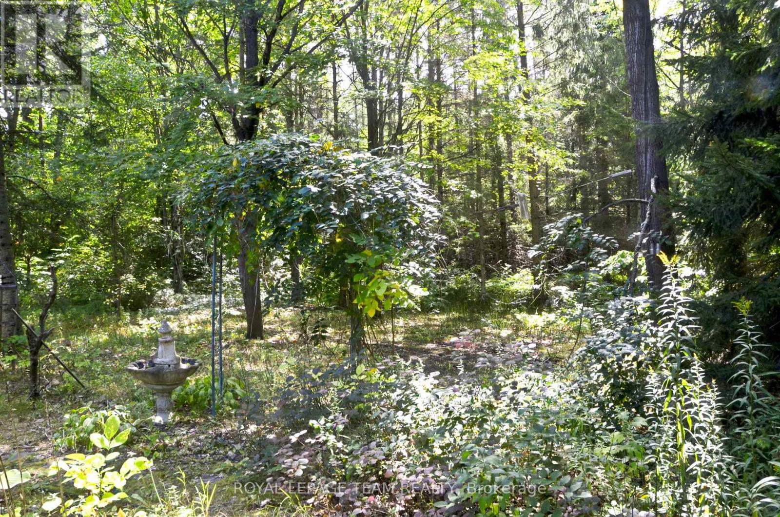 4465 Carman Road N, South Dundas, Ontario  K0E 1K0 - Photo 21 - X13042976