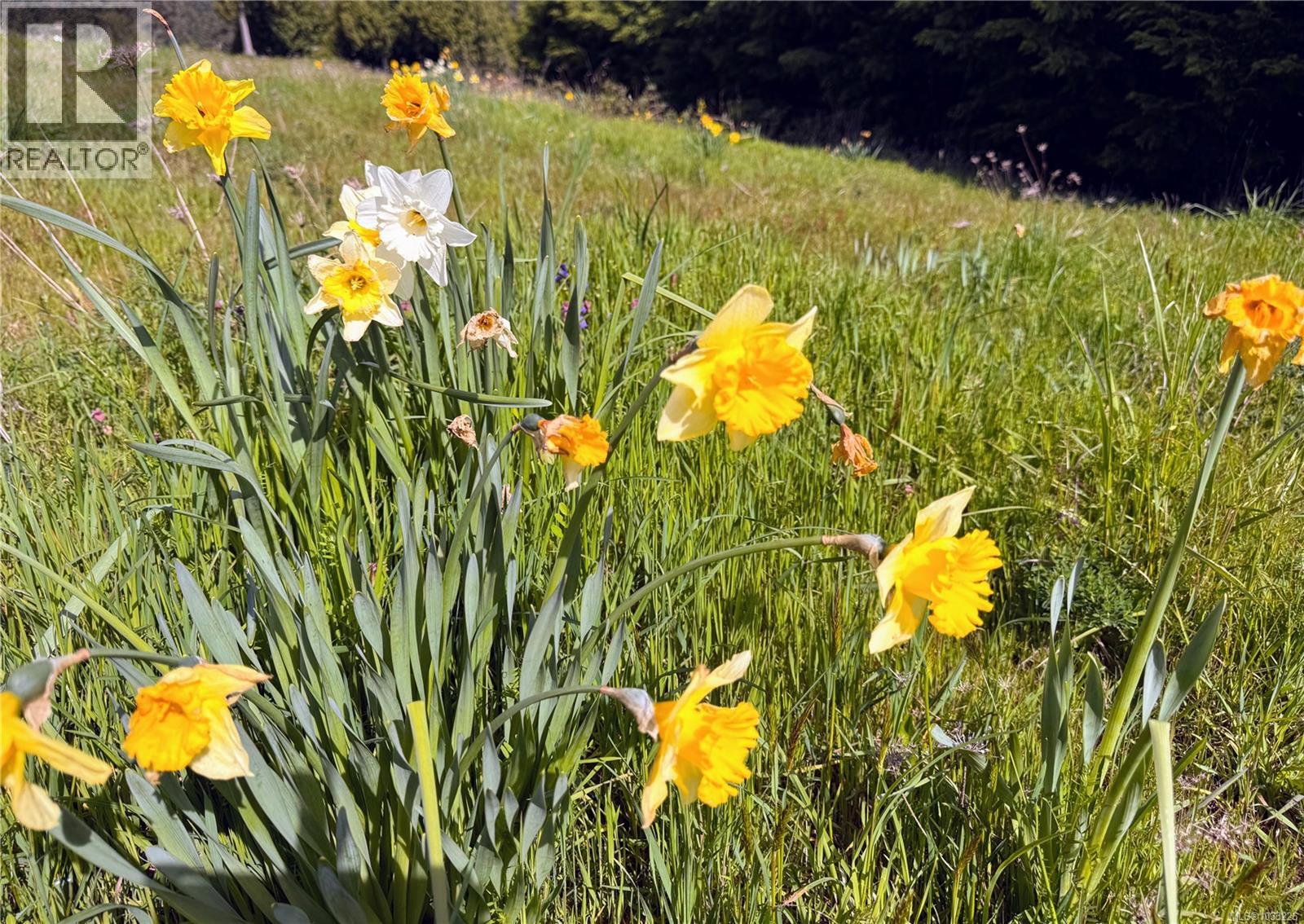 Lot B Rocky Point Rd, Metchosin, British Columbia  V9C 4G6 - Photo 16 - 1033226