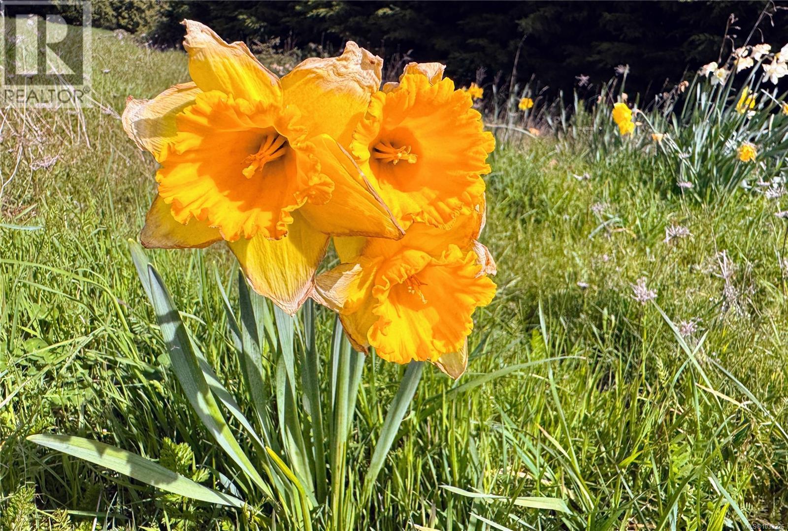 Lot B Rocky Point Rd, Metchosin, British Columbia  V9C 4G6 - Photo 17 - 1033226