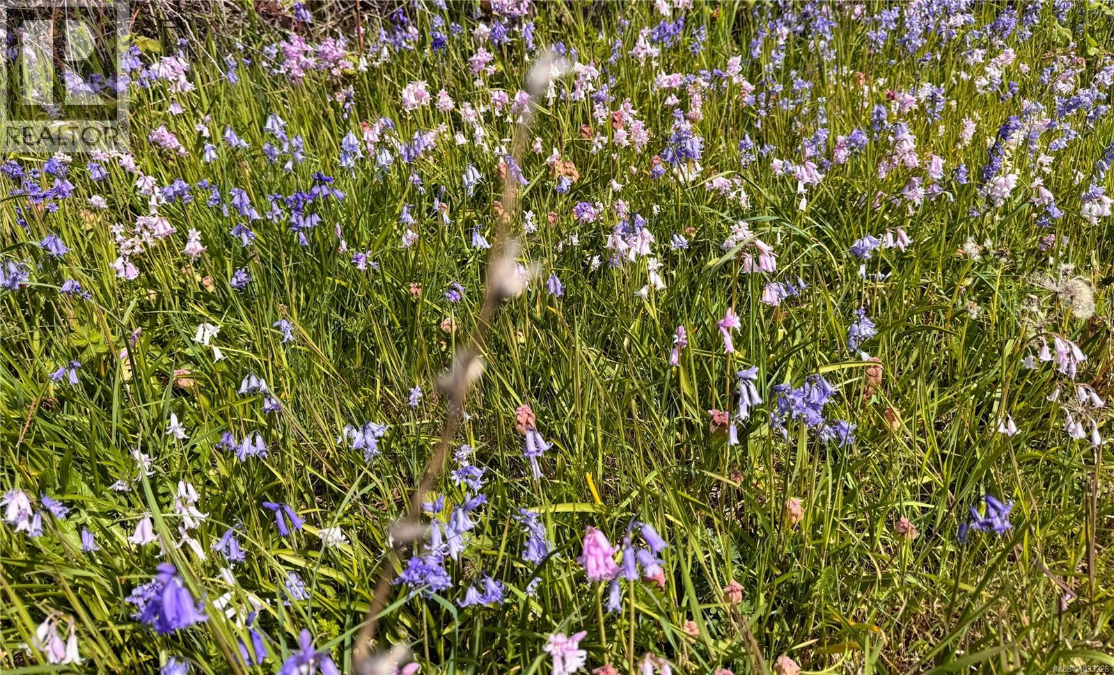 Lot B Rocky Point Rd, Metchosin, British Columbia  V9C 4G6 - Photo 19 - 1033226