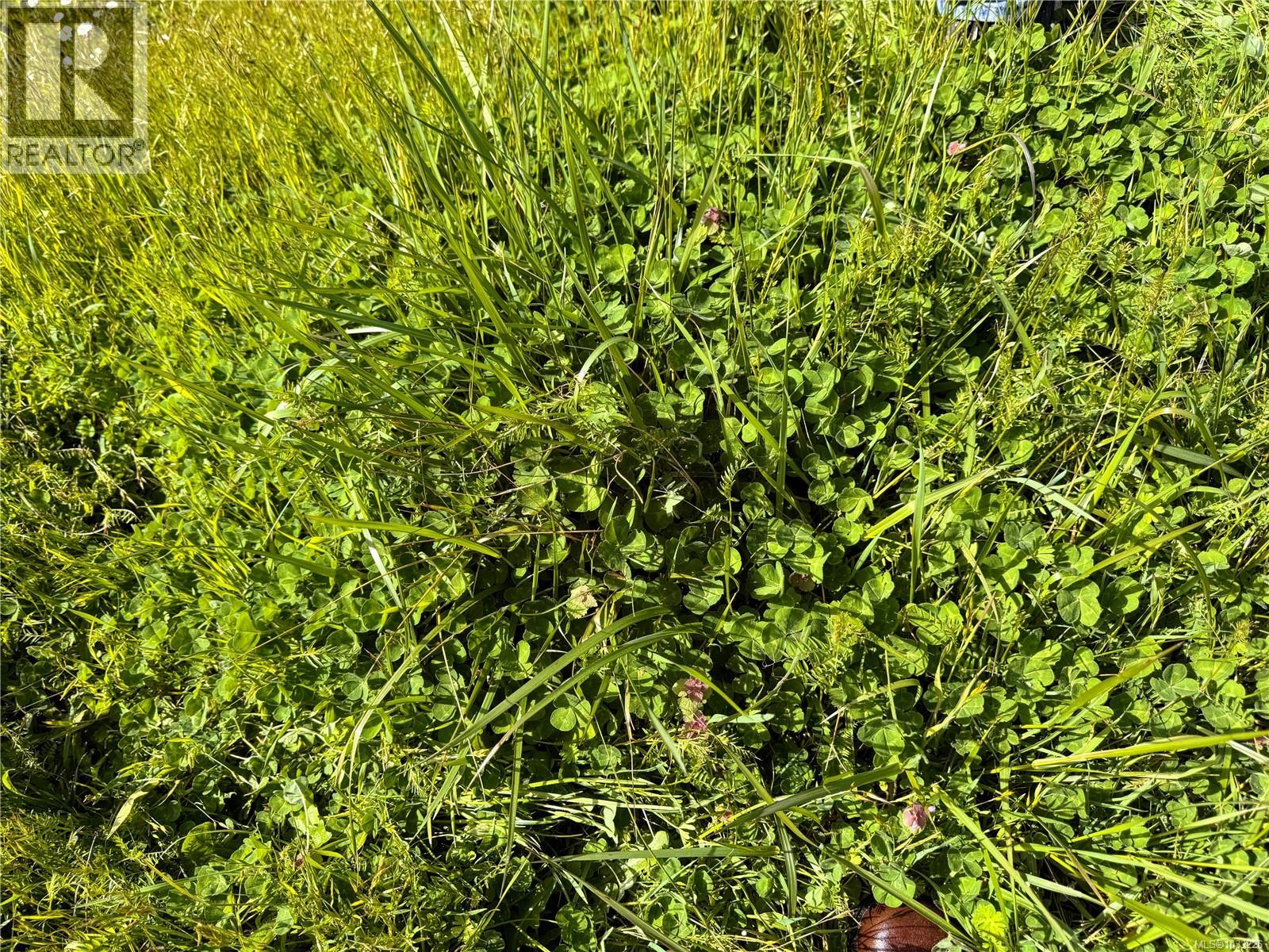 Lot B Rocky Point Rd, Metchosin, British Columbia  V9C 4G6 - Photo 20 - 1033226