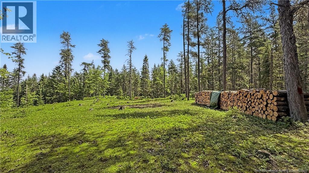 194 Meadow Brook Road, Cains River, New Brunswick  E9B 0E6 - Photo 26 - NB137576