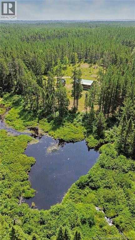 194 Meadow Brook Road, Cains River, New Brunswick  E9B 0E6 - Photo 3 - NB137576