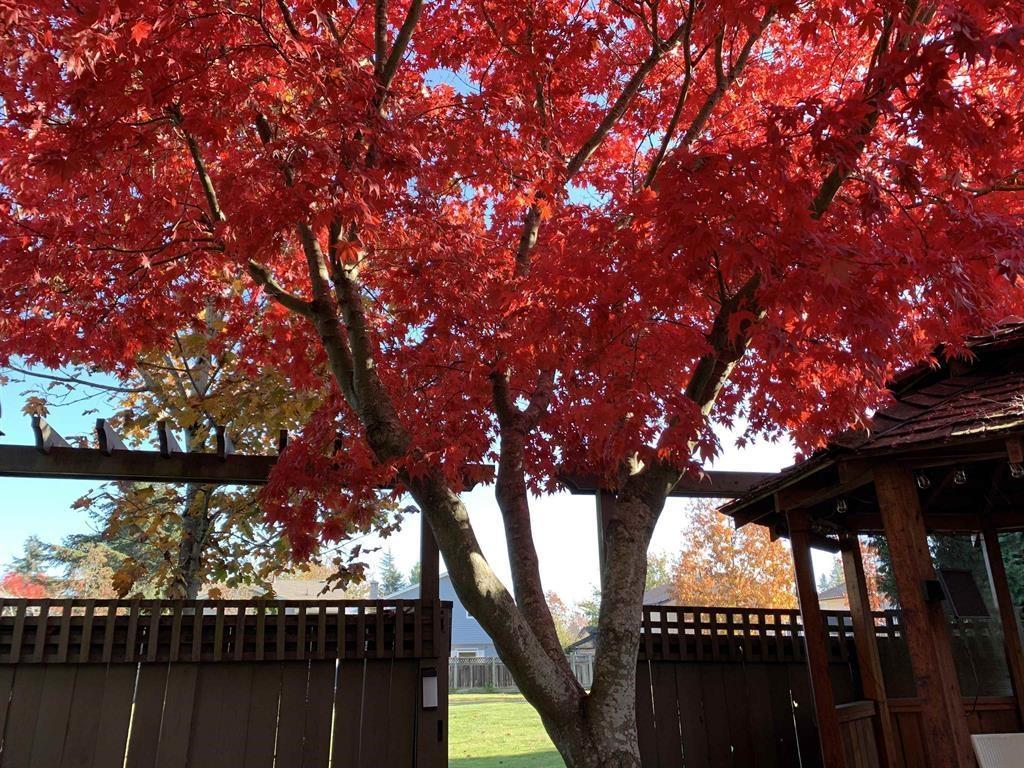 6578 130a Street, Surrey, British Columbia  V3W 8M5 - Photo 37 - R3114901