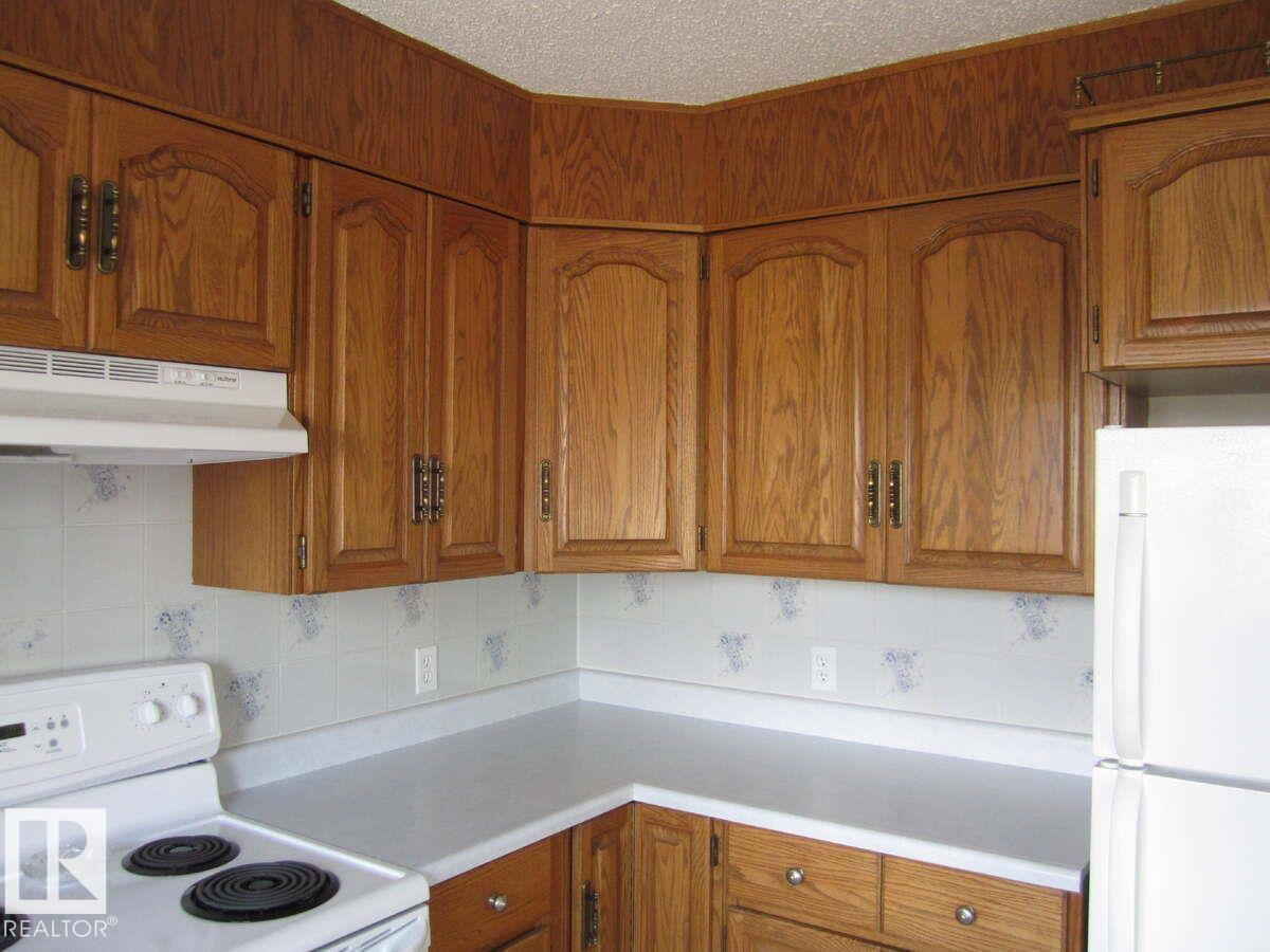 4105 47 St, Vegreville, Alberta  T9C 1C1 - Photo 19 - E4484145