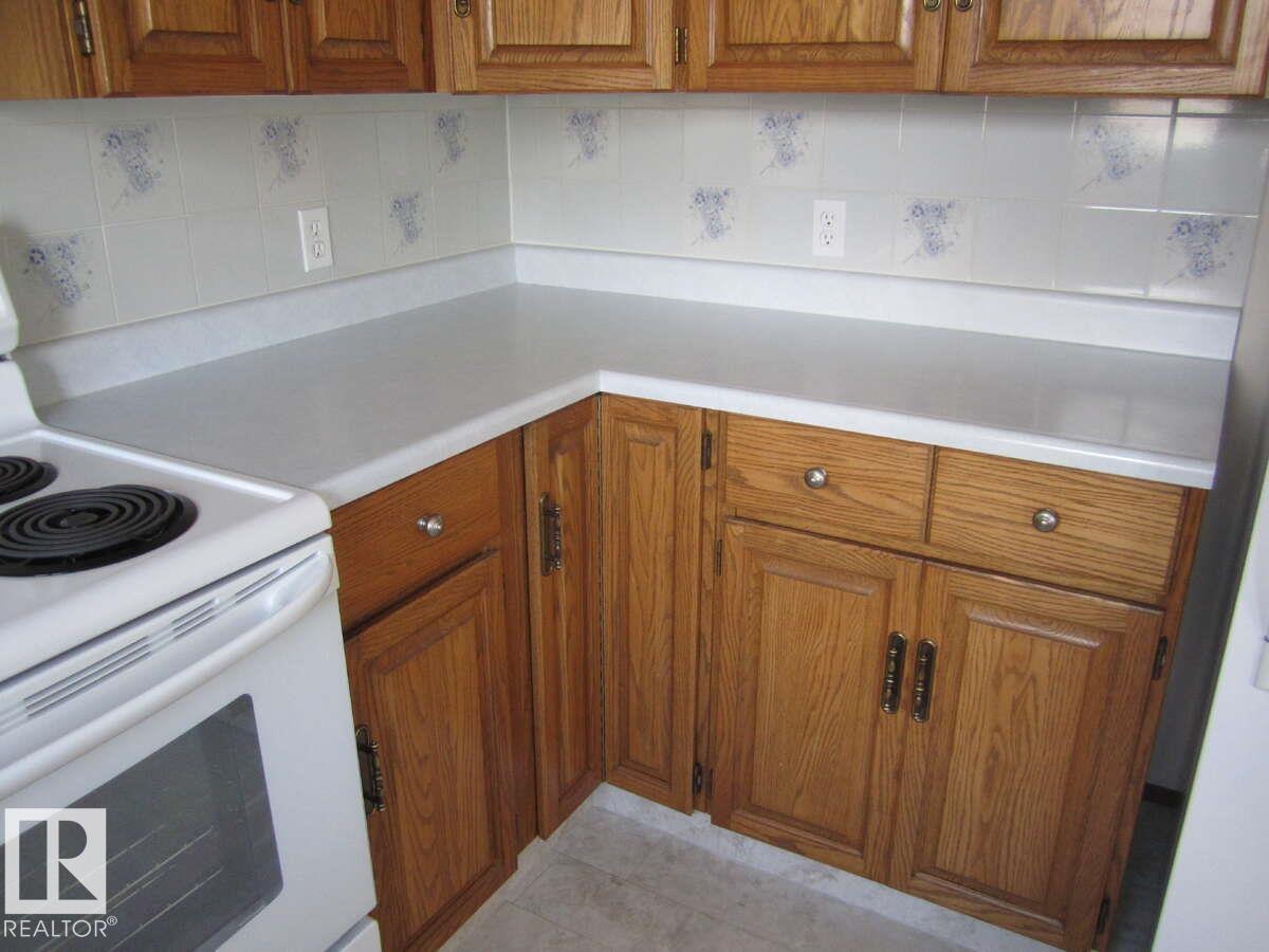 4105 47 St, Vegreville, Alberta  T9C 1C1 - Photo 20 - E4484145