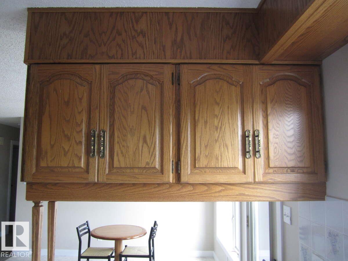 4105 47 St, Vegreville, Alberta  T9C 1C1 - Photo 23 - E4484145