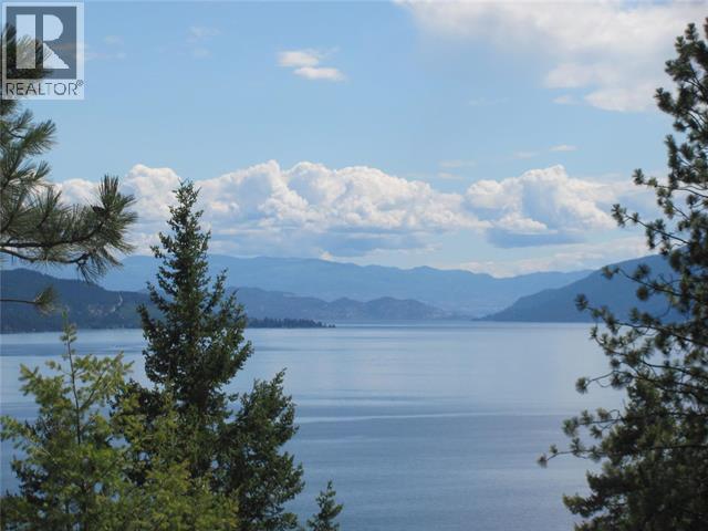 10451 Westshore Road, Vernon, British Columbia  V1H 2B2 - Photo 2 - 10384838