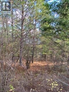 10451 Westshore Road, Vernon, British Columbia  V1H 2B2 - Photo 5 - 10384838