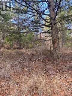 10451 Westshore Road, Vernon, British Columbia  V1H 2B2 - Photo 8 - 10384838