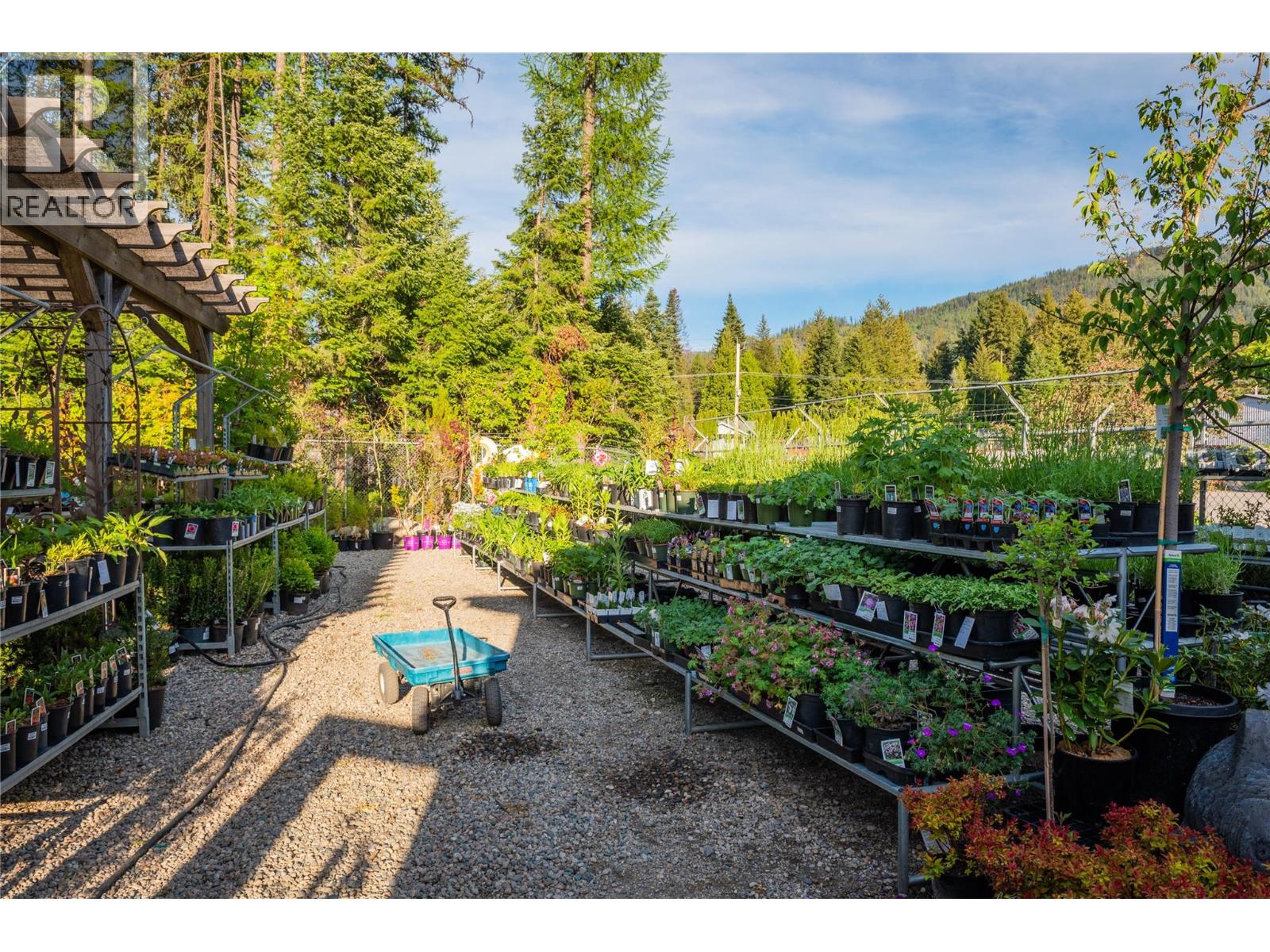 2811 Popoff Road, South Slocan, British Columbia  V0G 2G1 - Photo 13 - 10384756