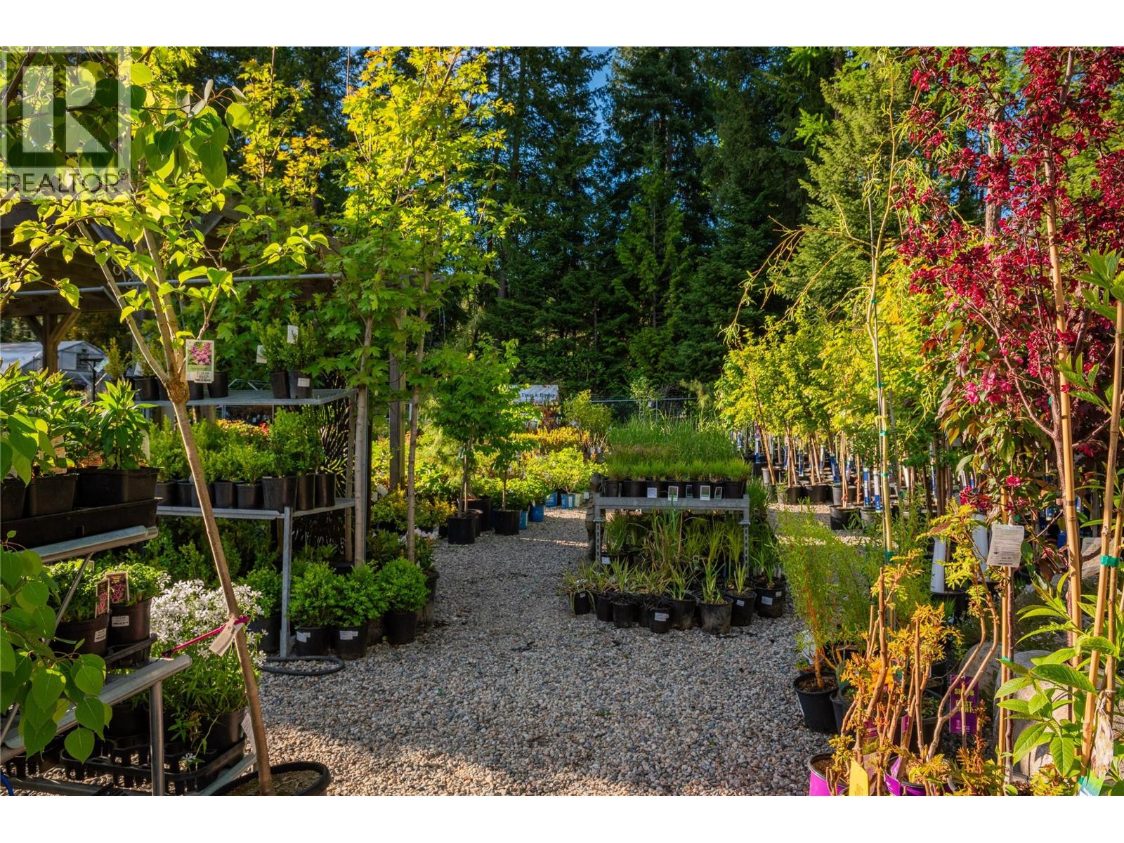 2811 Popoff Road, South Slocan, British Columbia  V0G 2G1 - Photo 17 - 10384756