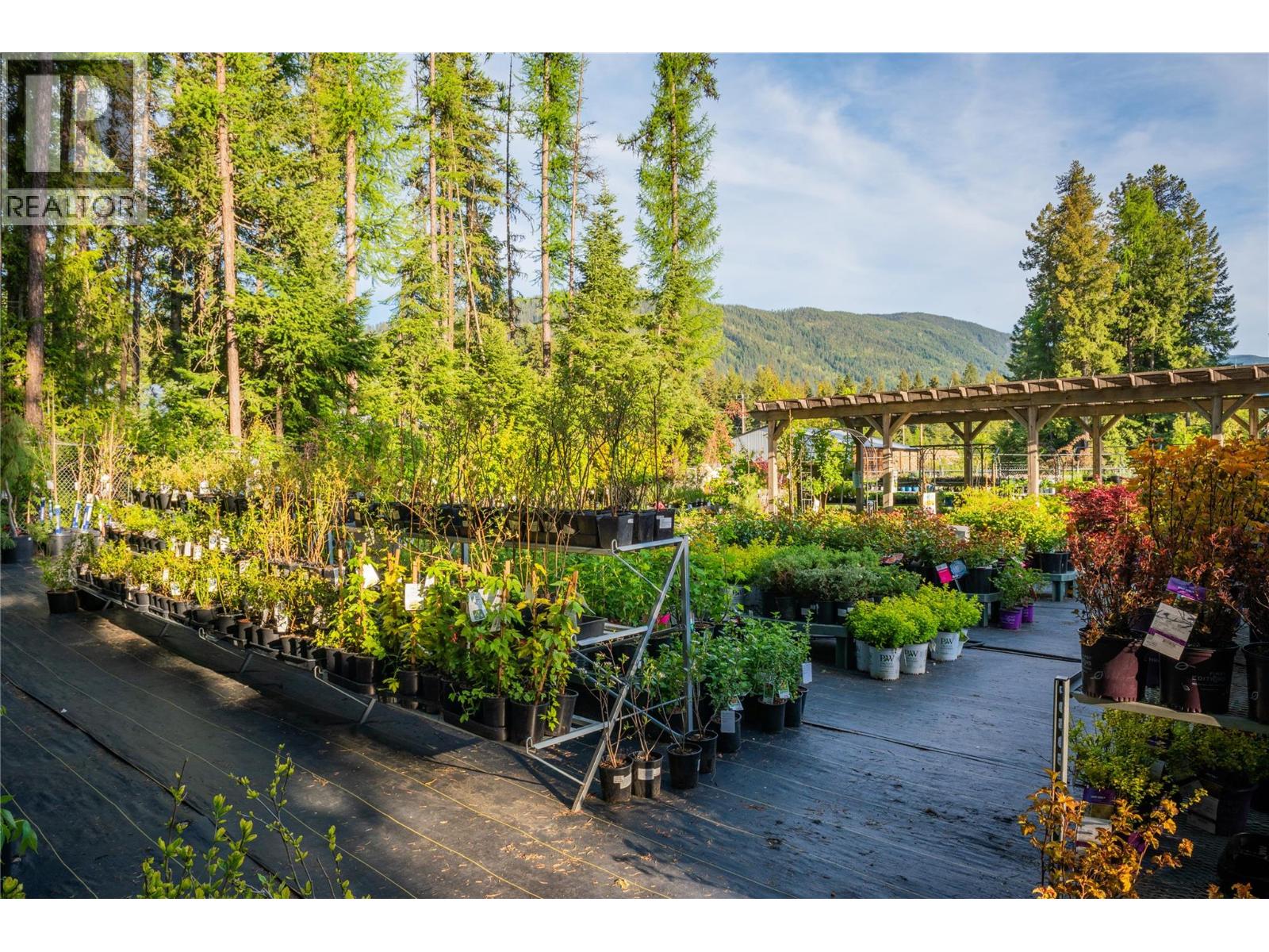 2811 Popoff Road, South Slocan, British Columbia  V0G 2G1 - Photo 25 - 10384756