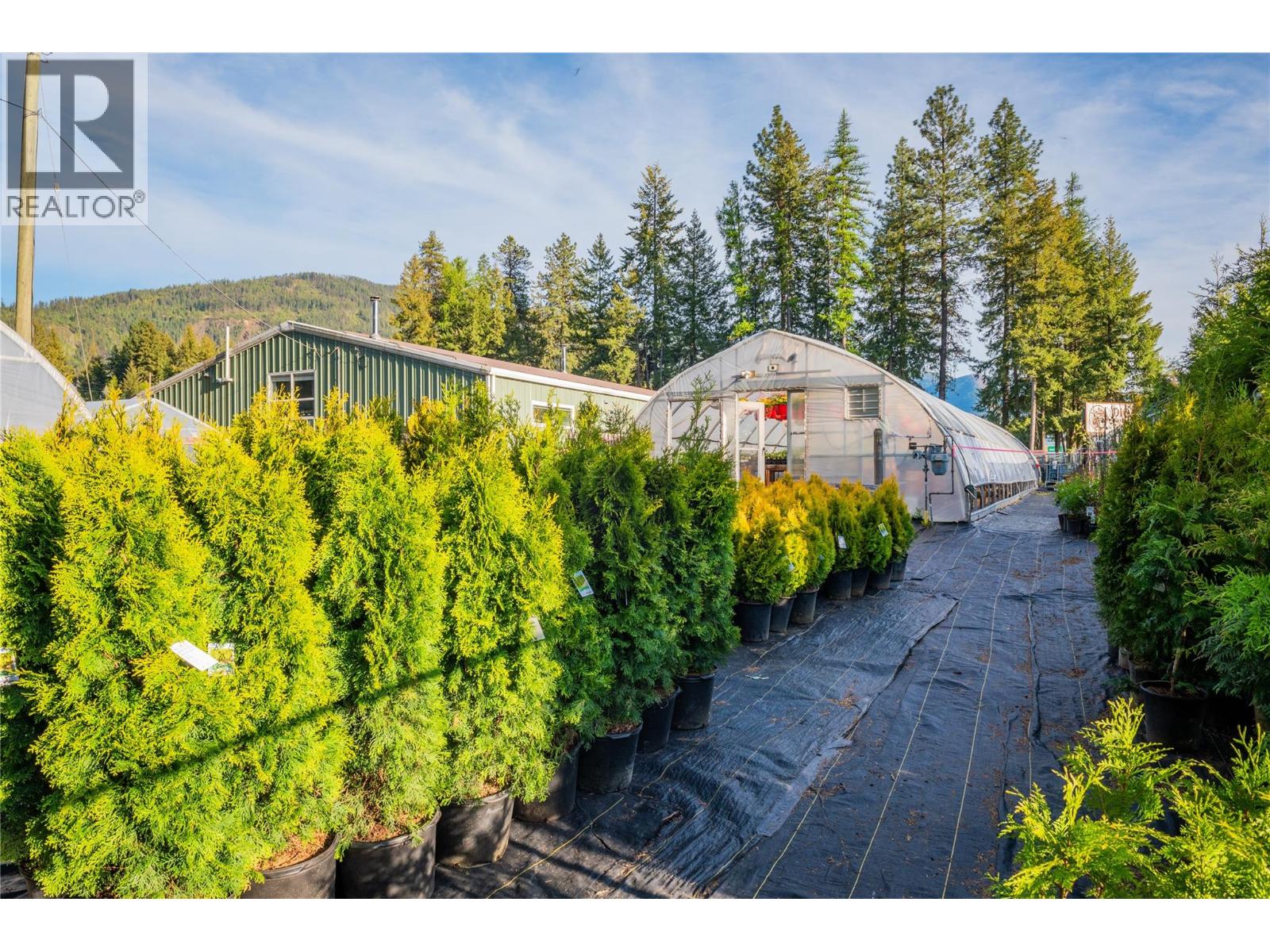 2811 Popoff Road, South Slocan, British Columbia  V0G 2G1 - Photo 32 - 10384756