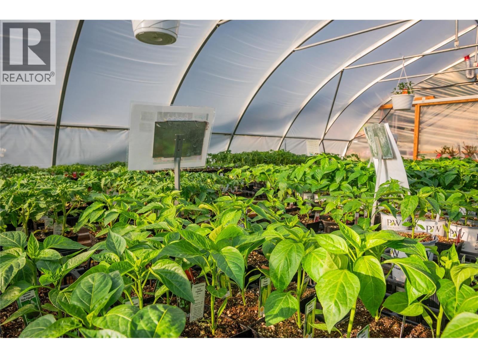 2811 Popoff Road, South Slocan, British Columbia  V0G 2G1 - Photo 39 - 10384756