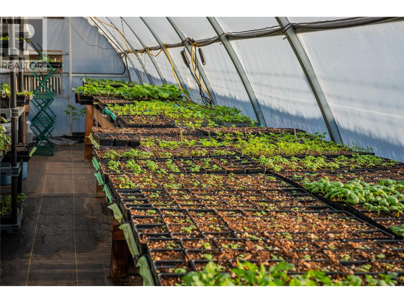 2811 Popoff Road, South Slocan, British Columbia  V0G 2G1 - Photo 40 - 10384756