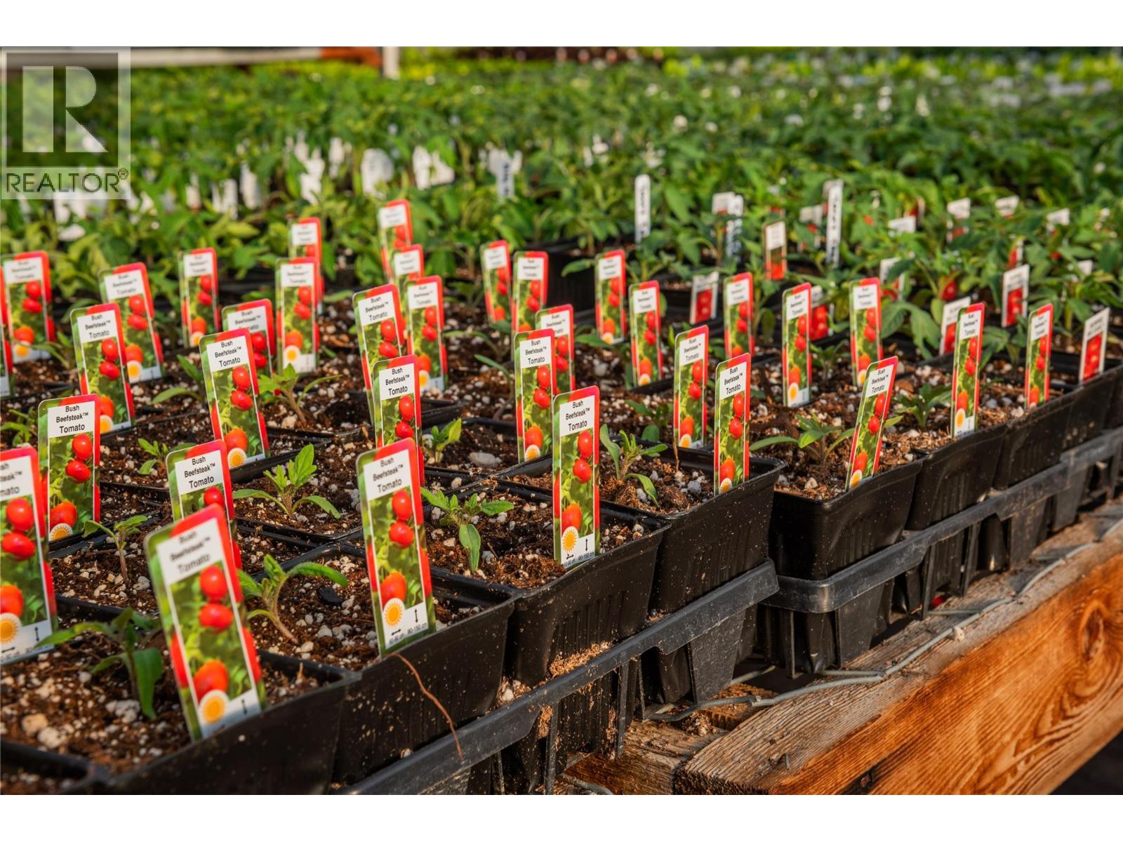 2811 Popoff Road, South Slocan, British Columbia  V0G 2G1 - Photo 42 - 10384756