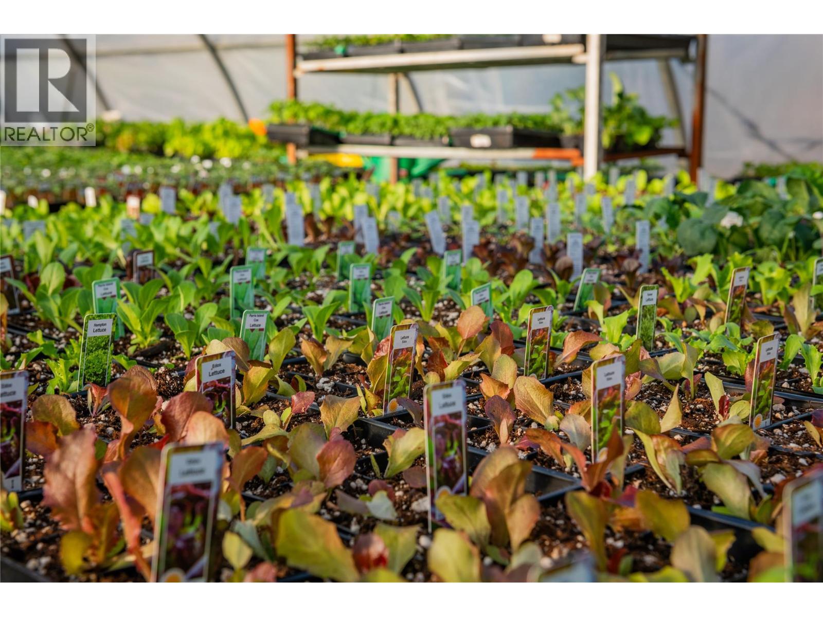 2811 Popoff Road, South Slocan, British Columbia  V0G 2G1 - Photo 43 - 10384756