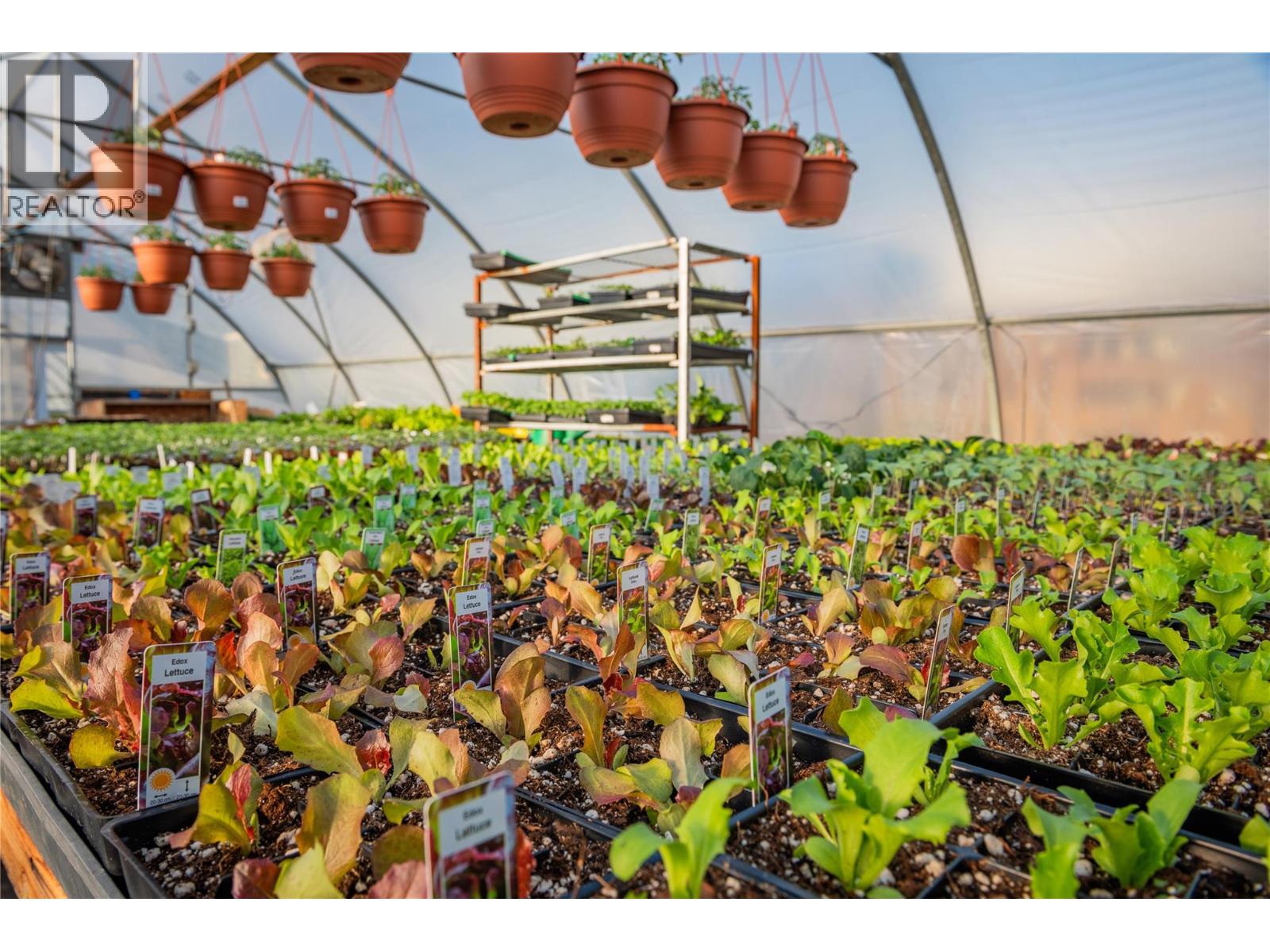 2811 Popoff Road, South Slocan, British Columbia  V0G 2G1 - Photo 44 - 10384756