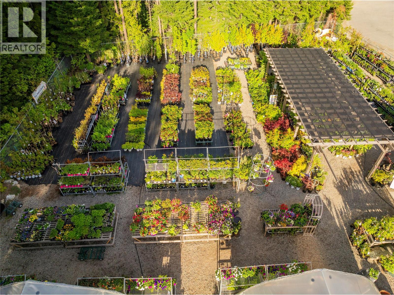 2811 Popoff Road, South Slocan, British Columbia  V0G 2G1 - Photo 5 - 10384756