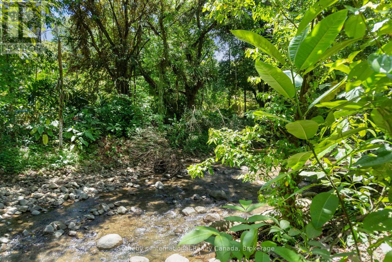 60504 Finca Maranon, Costa Rica, Ontario   - Photo 26 - X12921988