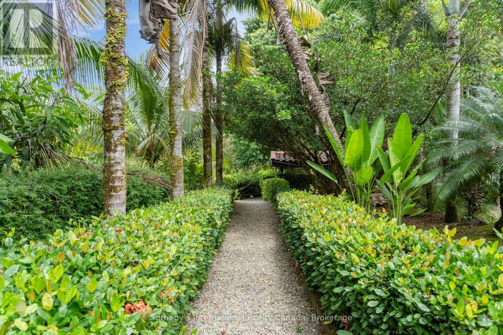 60504 Finca Maranon, Costa Rica, Ontario   - Photo 23 - X12921988