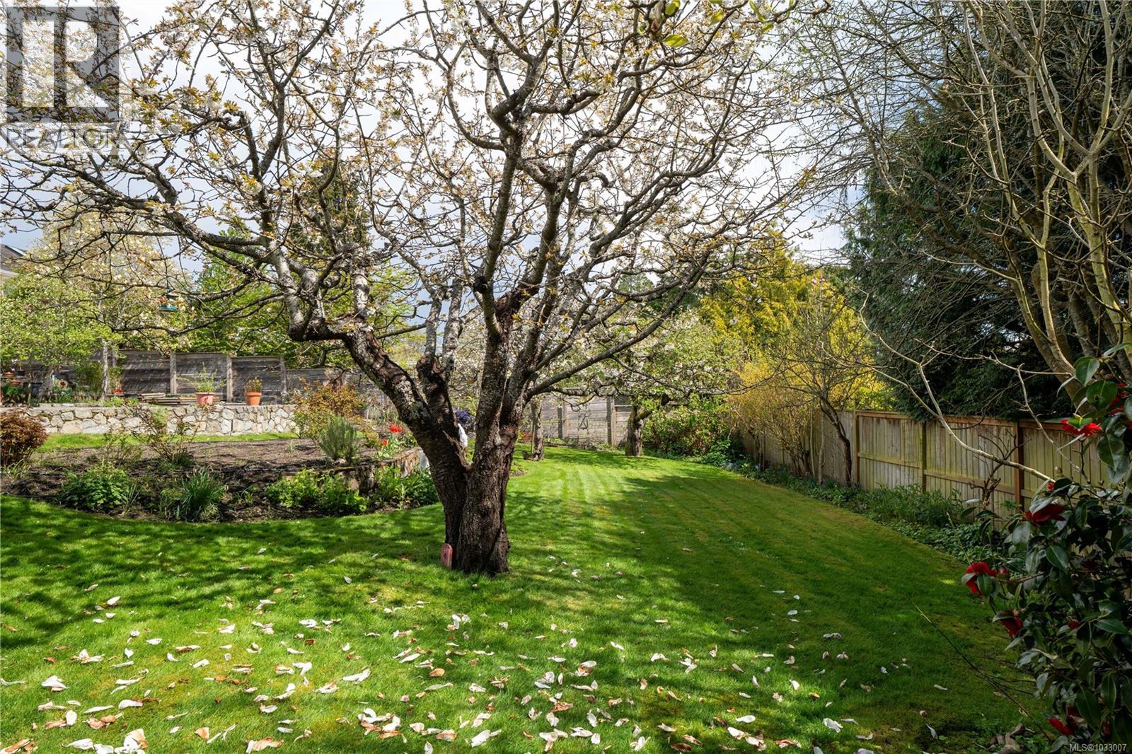 1541 Despard Ave, Victoria, British Columbia  V8S 1T2 - Photo 54 - 1033007