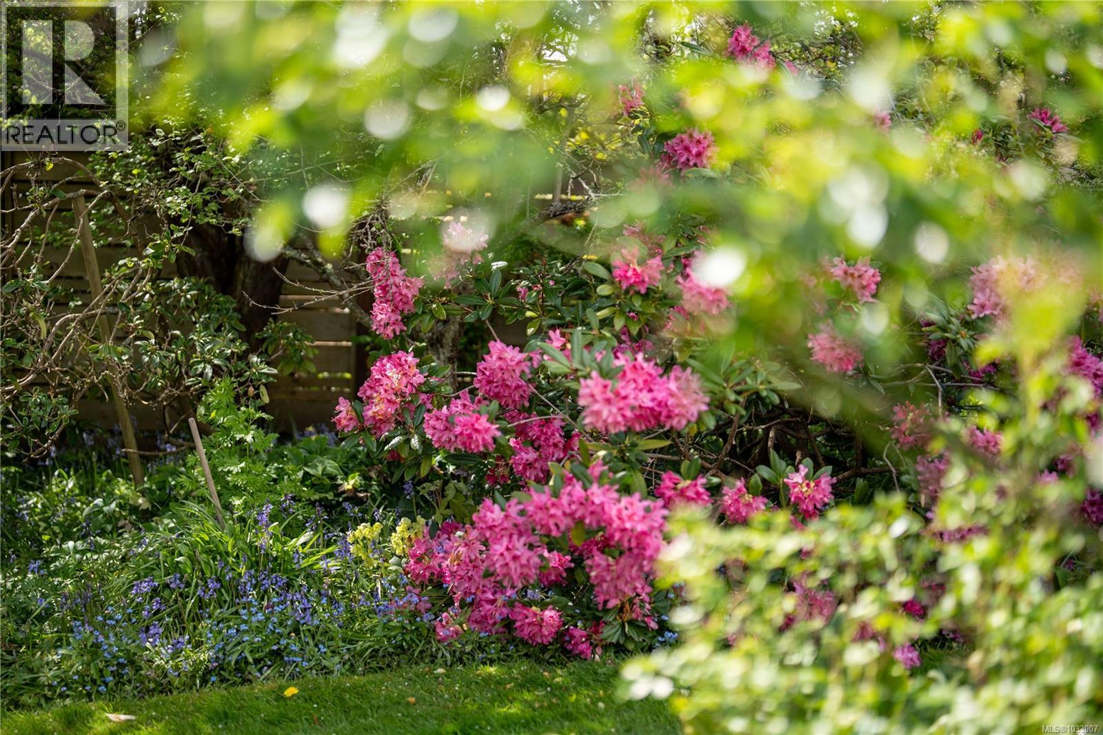 1541 Despard Ave, Victoria, British Columbia  V8S 1T2 - Photo 57 - 1033007