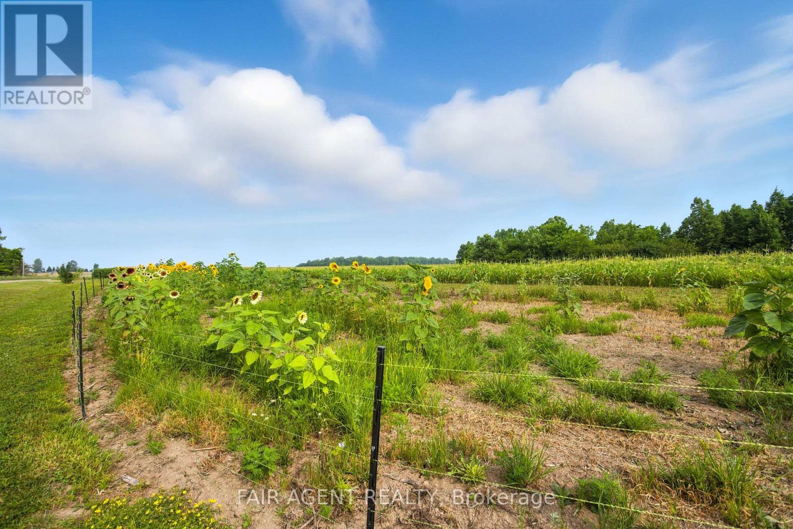 4484 Ausable Drive, North Middlesex, Ontario  N0M 1A0 - Photo 50 - X13043356