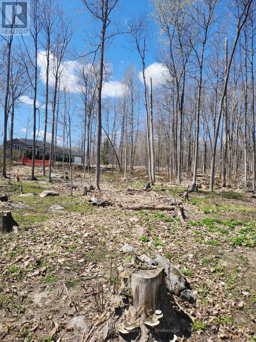 81 Polish Avenue, Penetanguishene, Ontario  L9M 1W8 - Photo 3 - S13043332