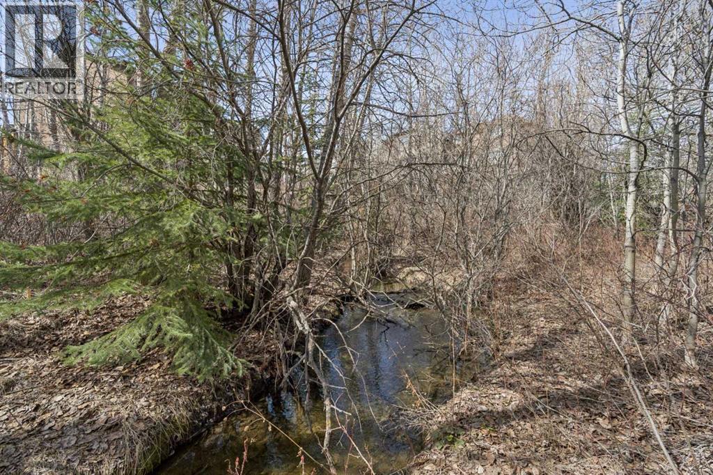 202 Tusslewood Terrace Nw, Calgary, Alberta  T3L 2W5 - Photo 36 - A2303756