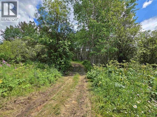 4633-4651 Barkerville Highway, Quesnel, British Columbia  V2J 6T8 - Photo 27 - R3115676