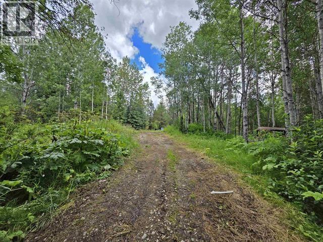 4633-4651 Barkerville Highway, Quesnel, British Columbia  V2J 6T8 - Photo 28 - R3115676