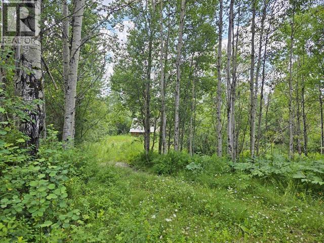 4633-4651 Barkerville Highway, Quesnel, British Columbia  V2J 6T8 - Photo 30 - R3115676