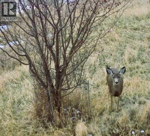 302, 5217 39 Street, Red Deer, Alberta  T4N 0Z8 - Photo 20 - A2303852
