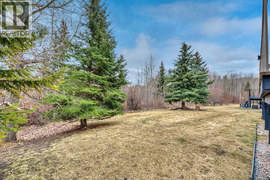 3 Lott Creek Hollow, Rural Rocky View County, Alberta  T3Z 3A9 - Photo 37 - A2300525